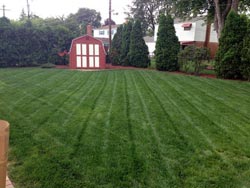 Landscaping Services - Lawn Cutting & Maintenance 1