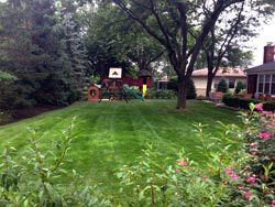 Landscaping Services - Lawn Cutting & Maintenance 2