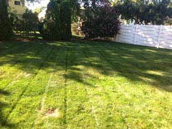 Landscaping Services - Lawn Cutting & Maintenance 3