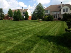 Landscaping Services - Lawn Cutting & Maintenance 4