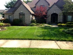 Landscaping Services - Lawn Cutting & Maintenance 5
