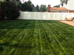 Landscaping Services - Lawn Cutting & Maintenance 6